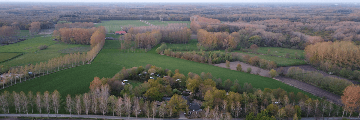 BlueWoods — photo 7